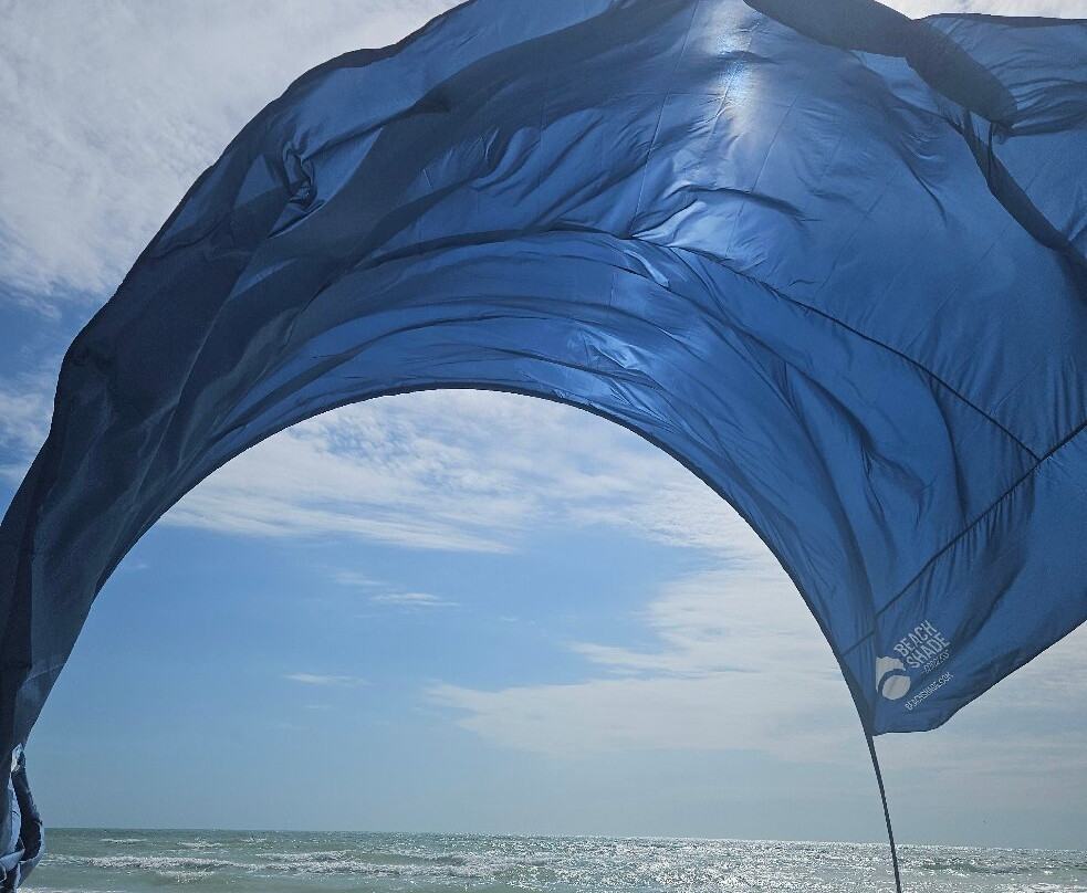 Twin Palms at Siesta主图