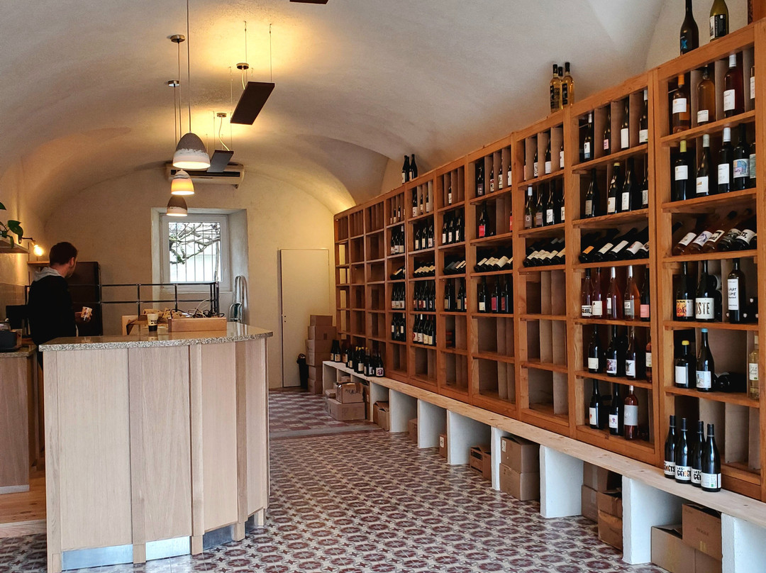 Cave Vins Sur Vans-Les Vans必去景点