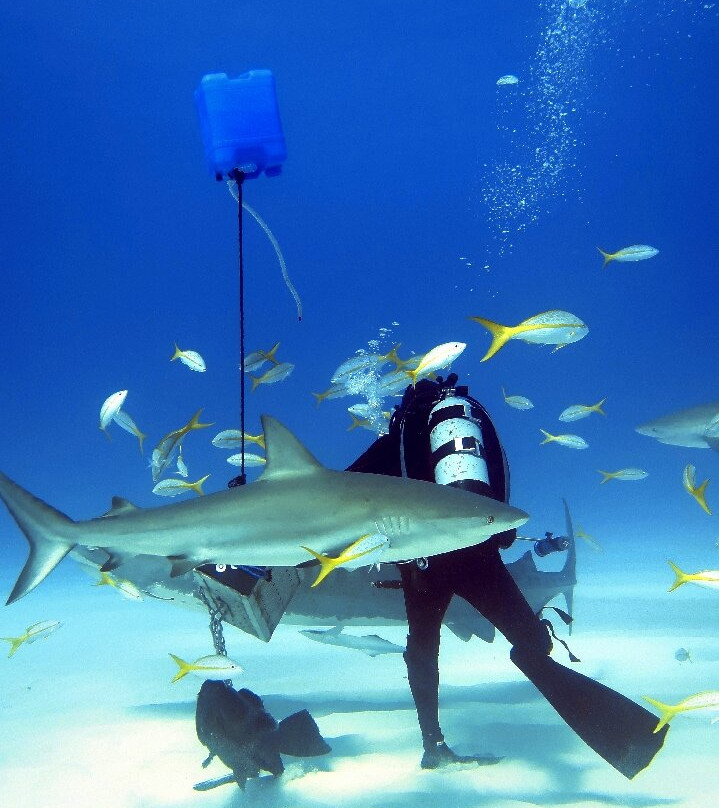 Great Xplorers-Eusebio必去景点