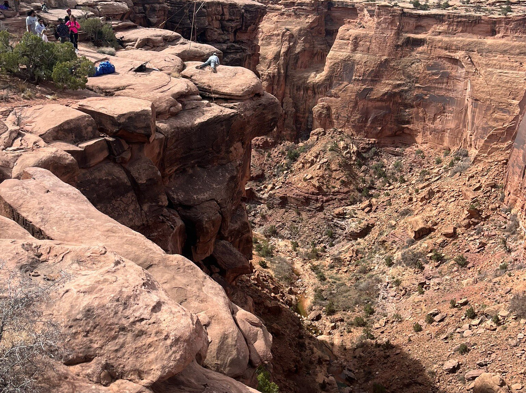Rope Swing Moab-莫阿布必去景点