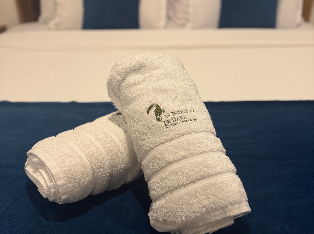 Las Terrazas de Dana Boutique Lodge Spa主图