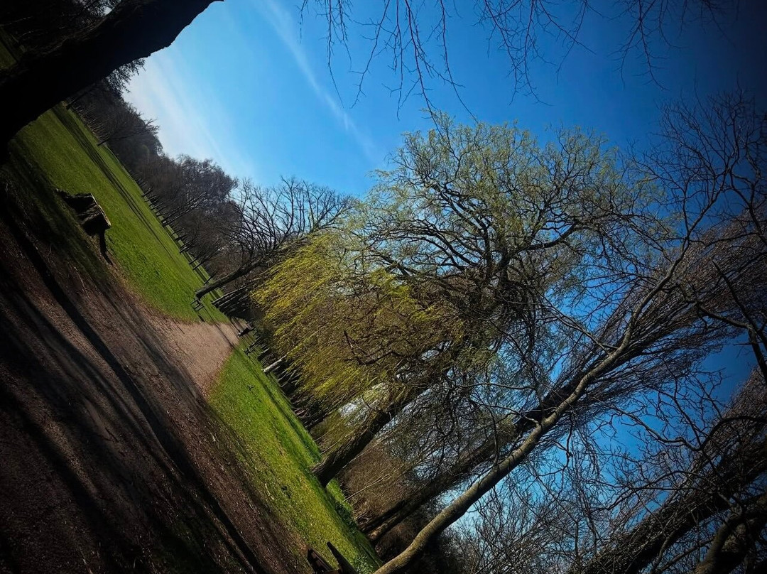 Walsall Arboretum景点图片