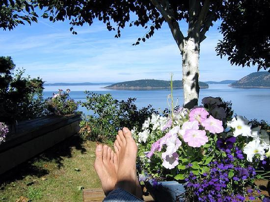 Ship House Bed and Breakfast主图