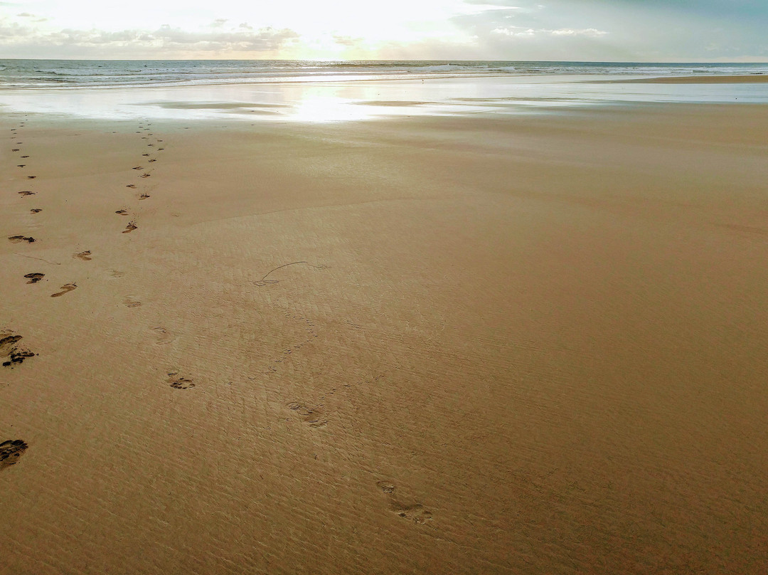 B&B Jardin de los Monos主图