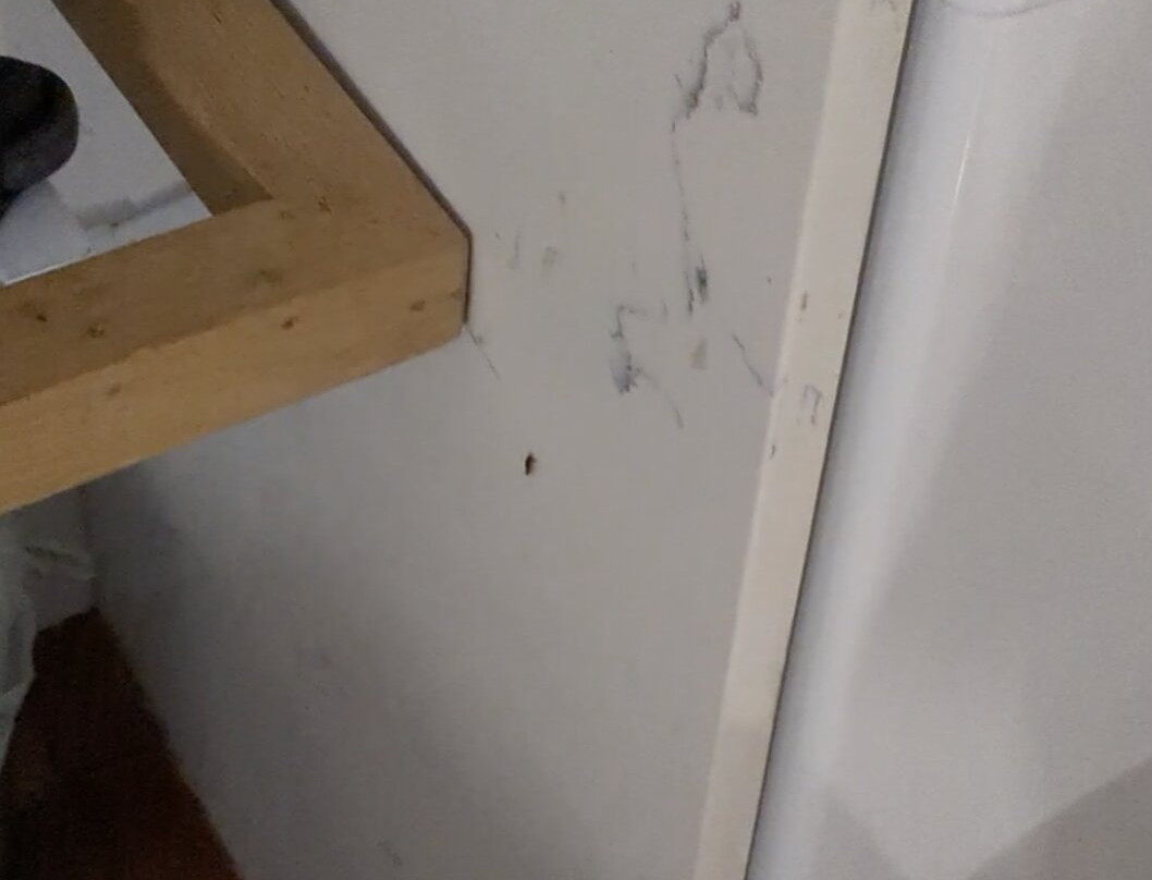 开普敦钻石精品酒店主图