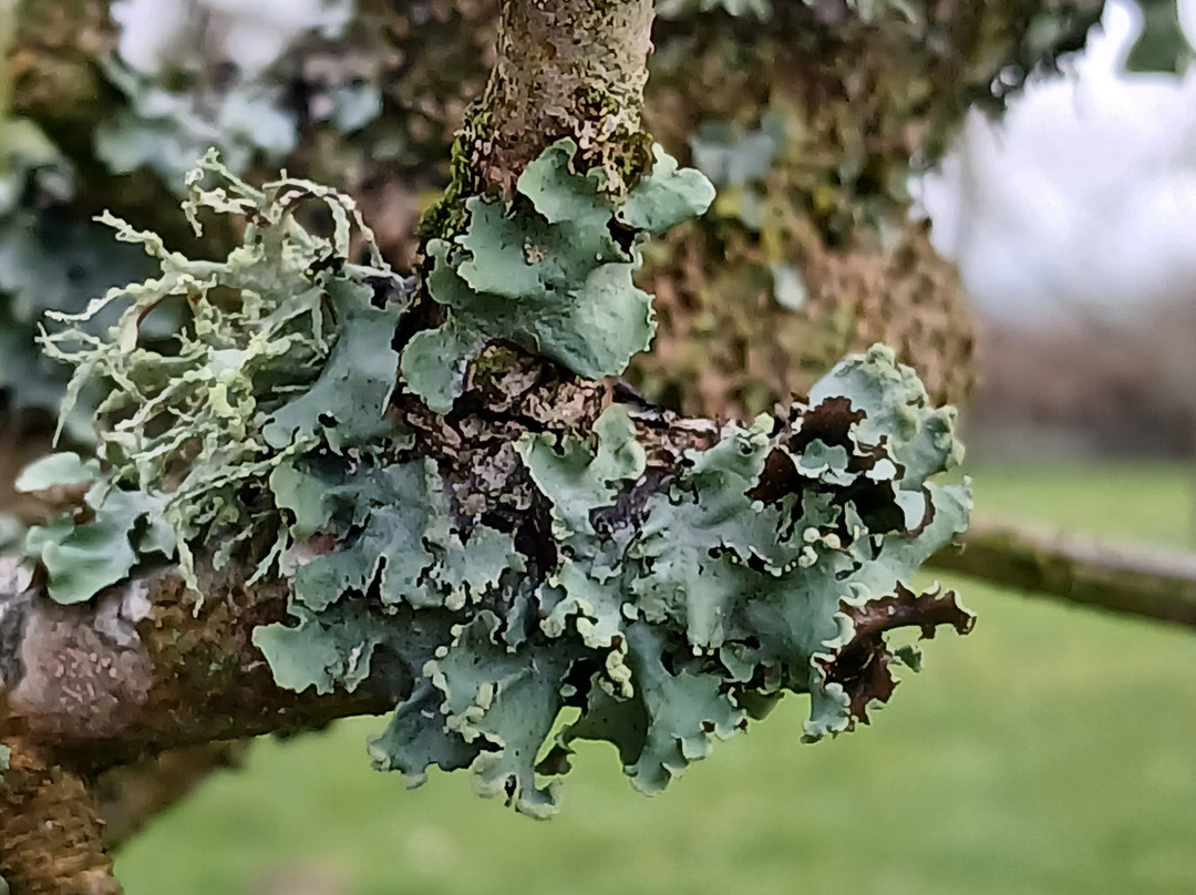 彭伯特布雷恩豪华住宿加早餐酒店主图