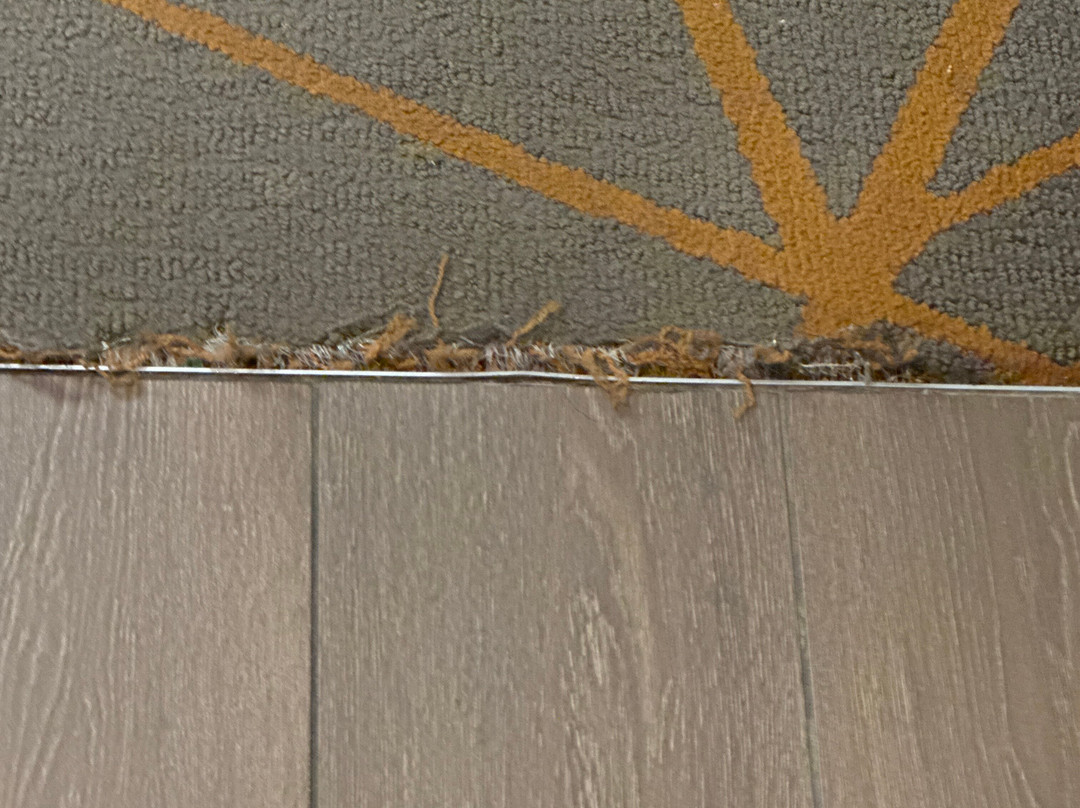 辛辛那提东北（布鲁阿什）希尔顿合博套房酒店主图