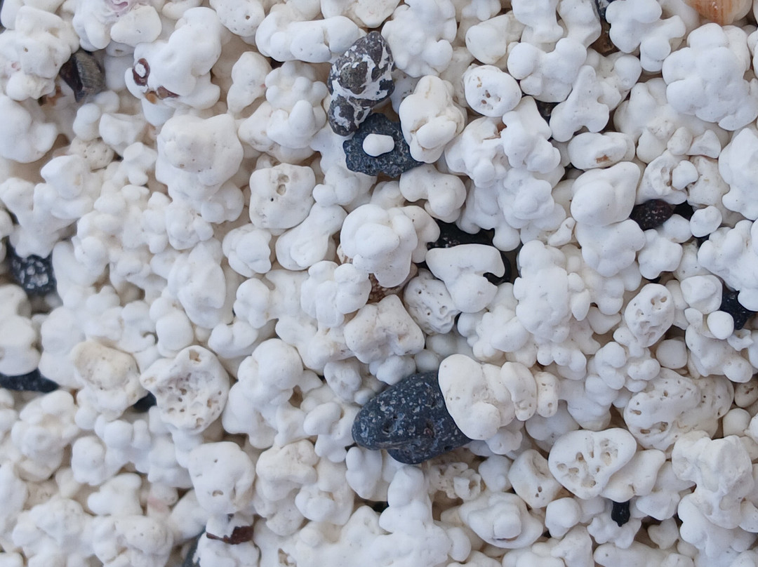 Popcorn Playa景点图片