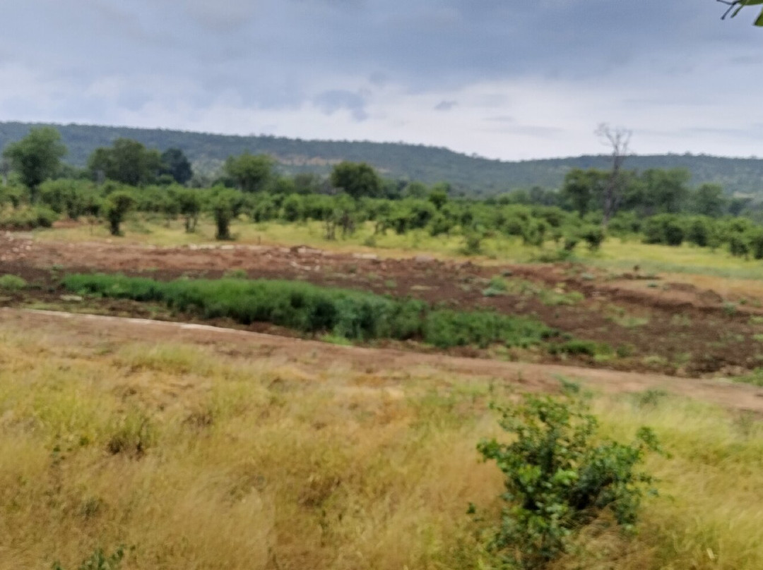 Punda Maria Restcamp主图