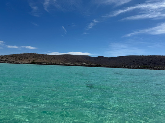 Baja Reef Adventures-拉巴斯必去景点