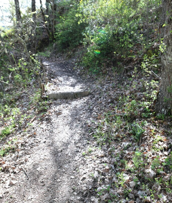 Marais Des Bouligons-Luc-en-Diois必去景点