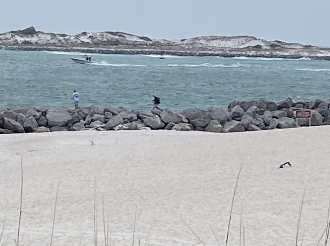 Driftwood Lodge主图