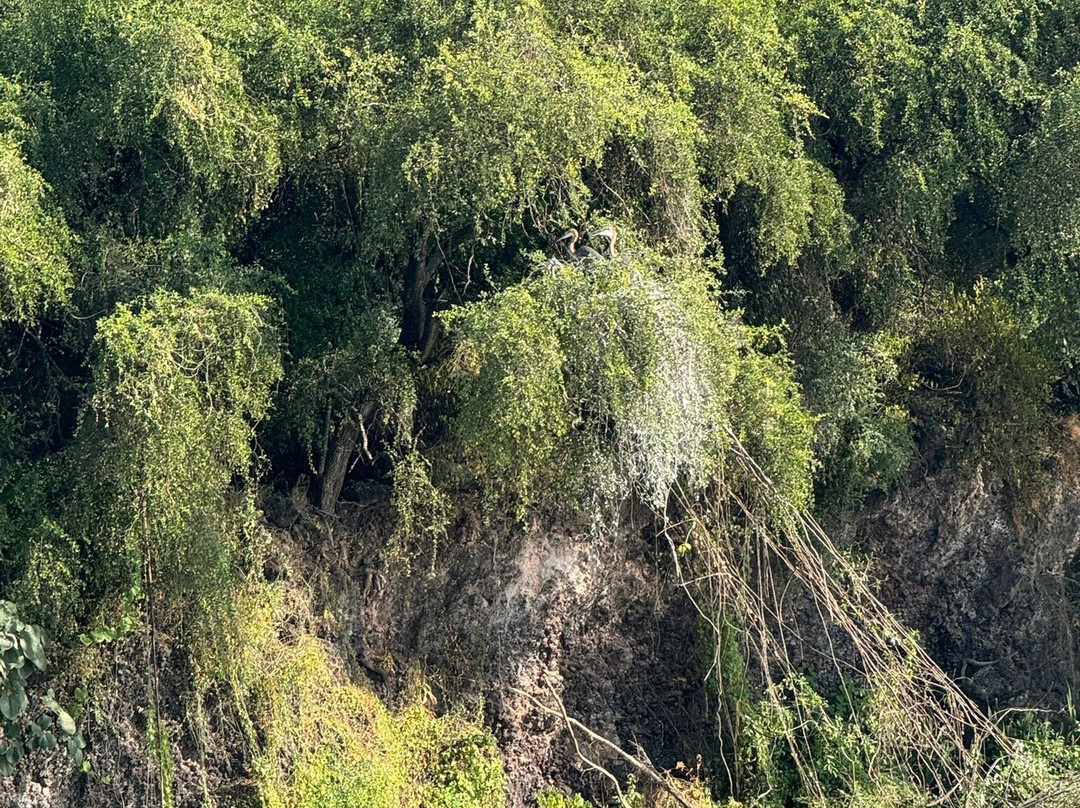 Chamo Lake景点图片
