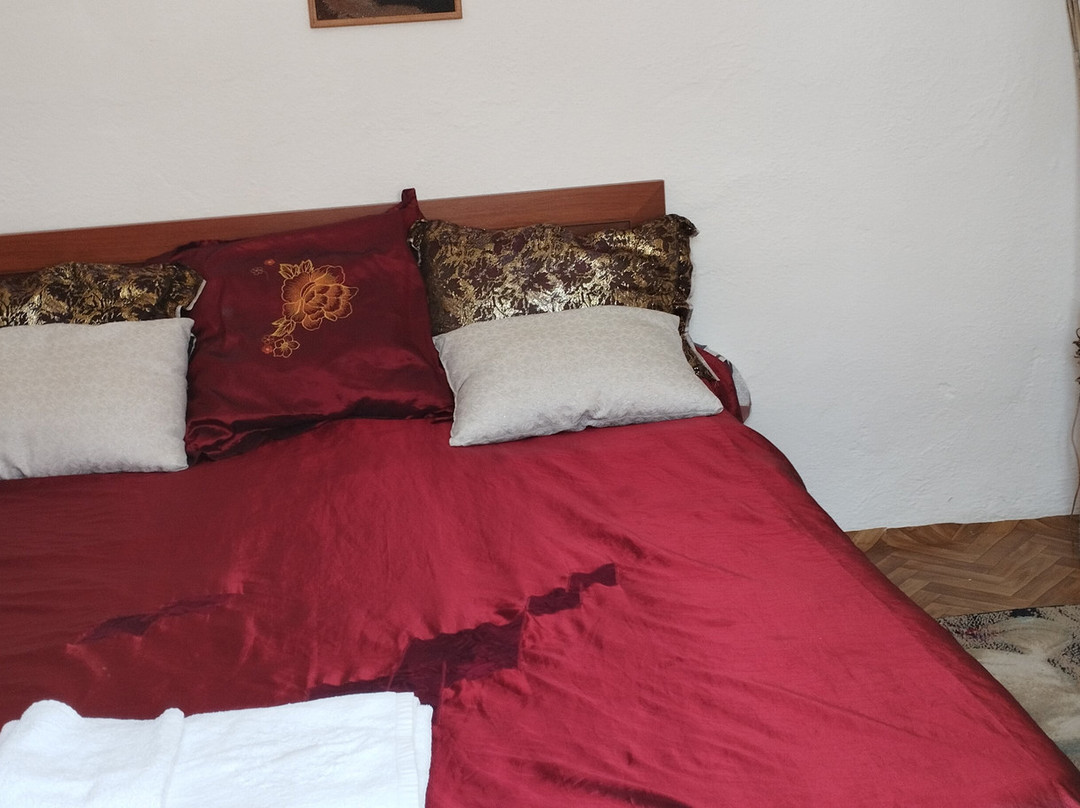 Guest house on Akmatbai-Ata 29主图