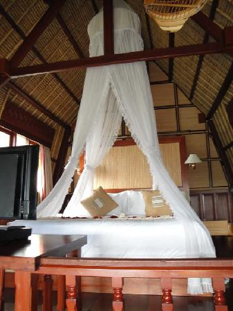 巴龙蝴蝶度假村主图