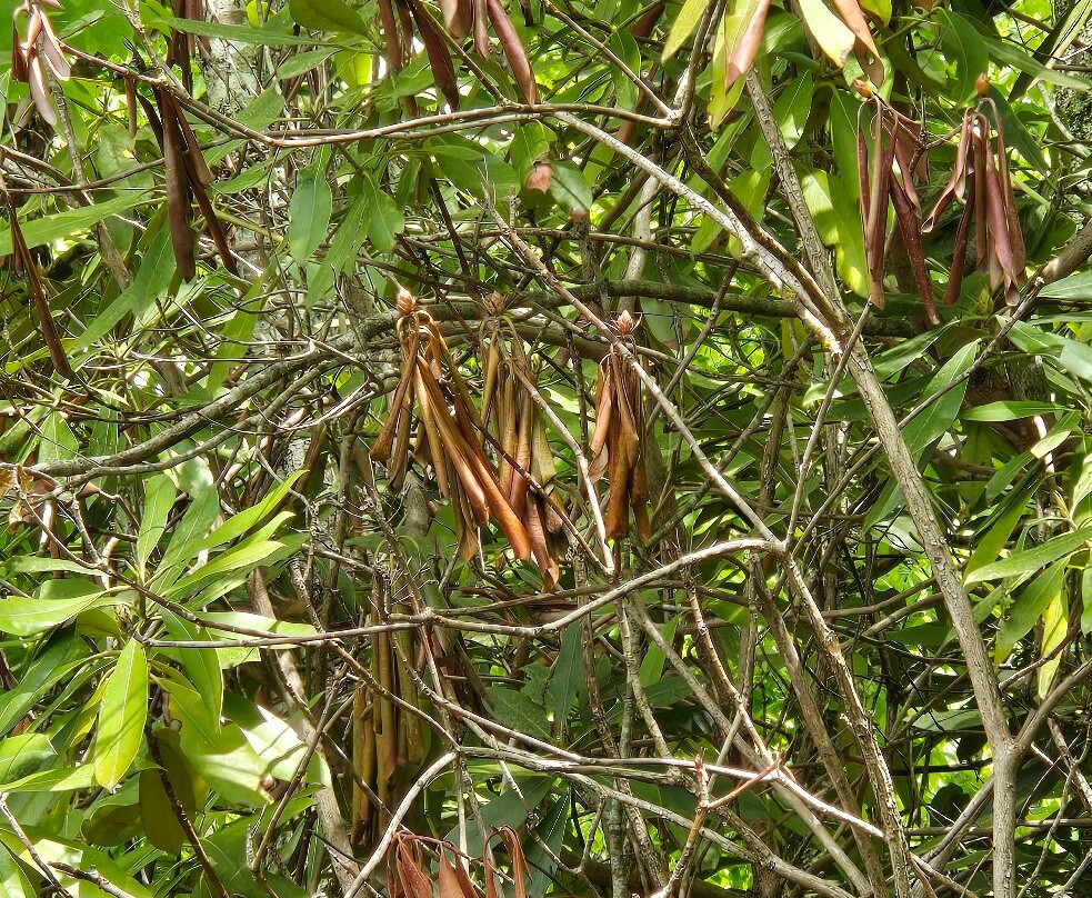 The Tunnel To Nowhere-布赖森城必去景点