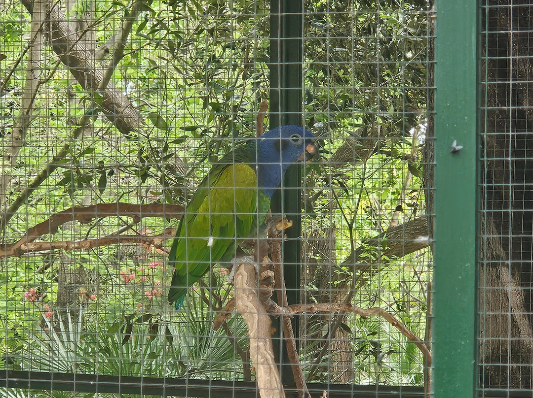Jardin Botanico Molino de Inca景点图片