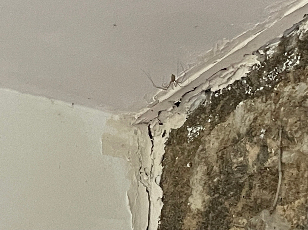 卡西旅馆