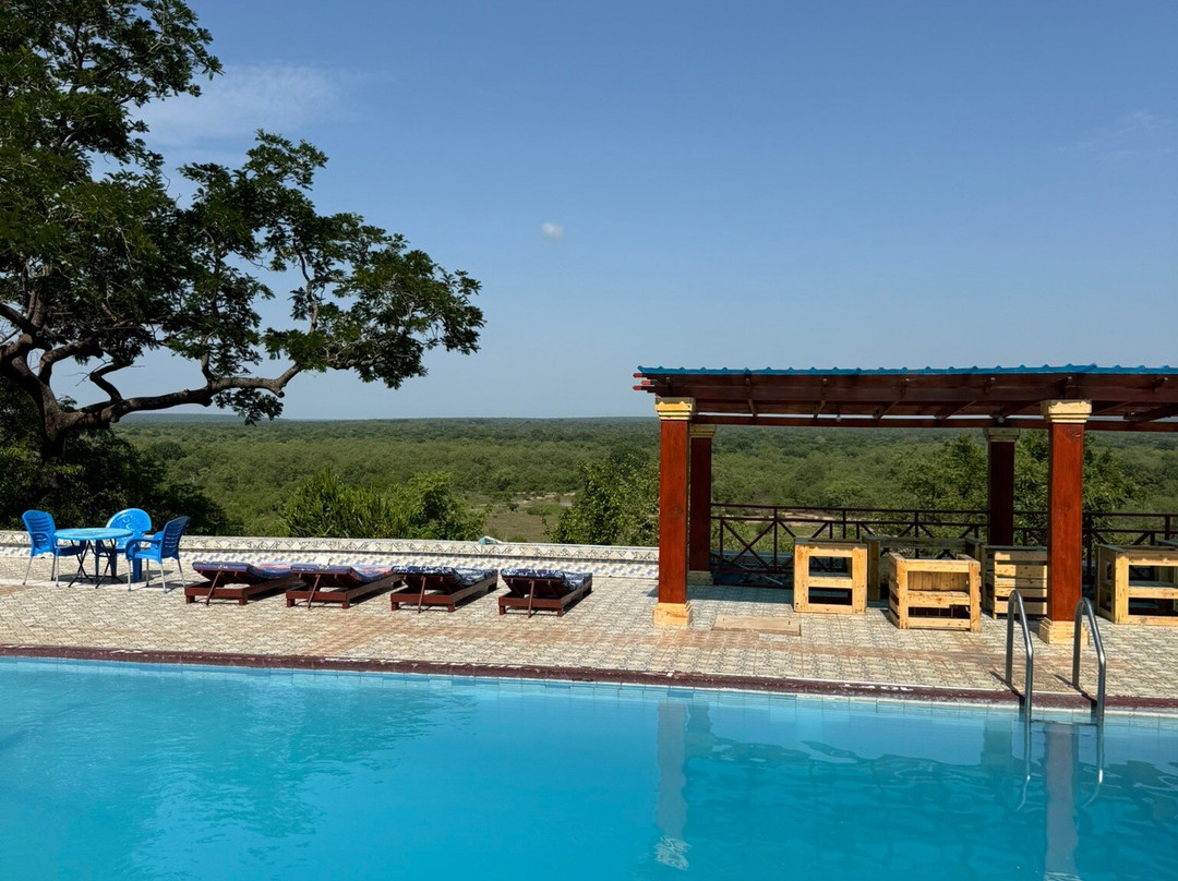 Mole Boy Travel & Safe Guide Tours-Tamale必去景点