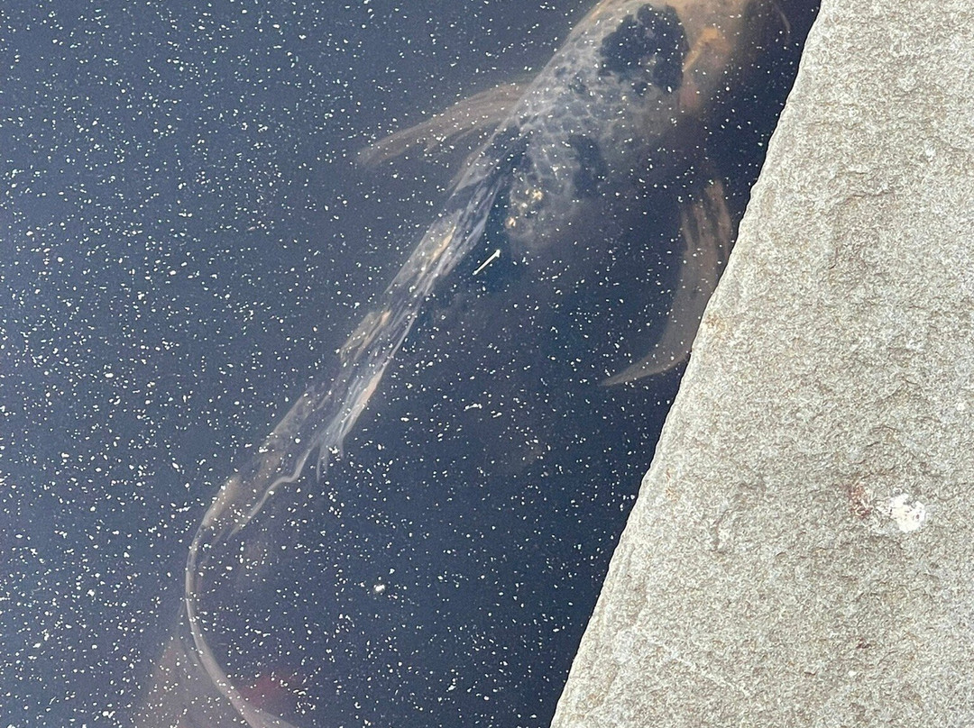 Wave Hill-布朗克斯必去景点