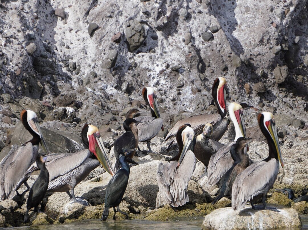 The Hook Experiences-拉巴斯必去景点