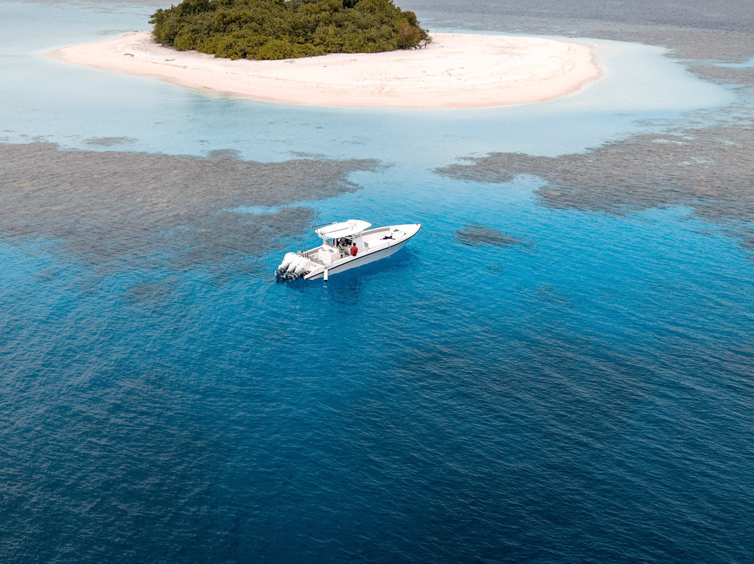Spear Maldives Fishing Charter景点图片