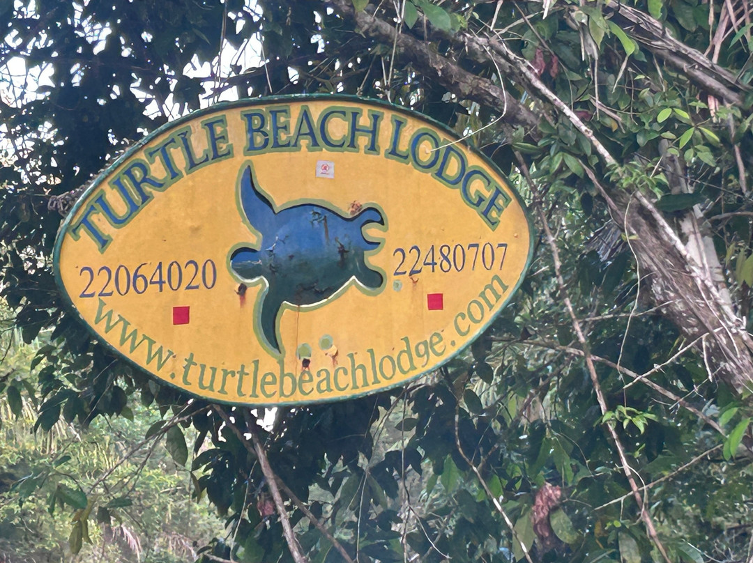 Kalkonu Travel-Ciudad Colon必去景点