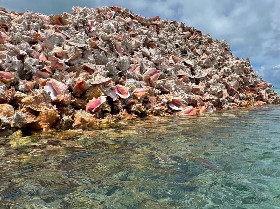 Tommy Gaunt Kitesurfing-Anegada必去景点