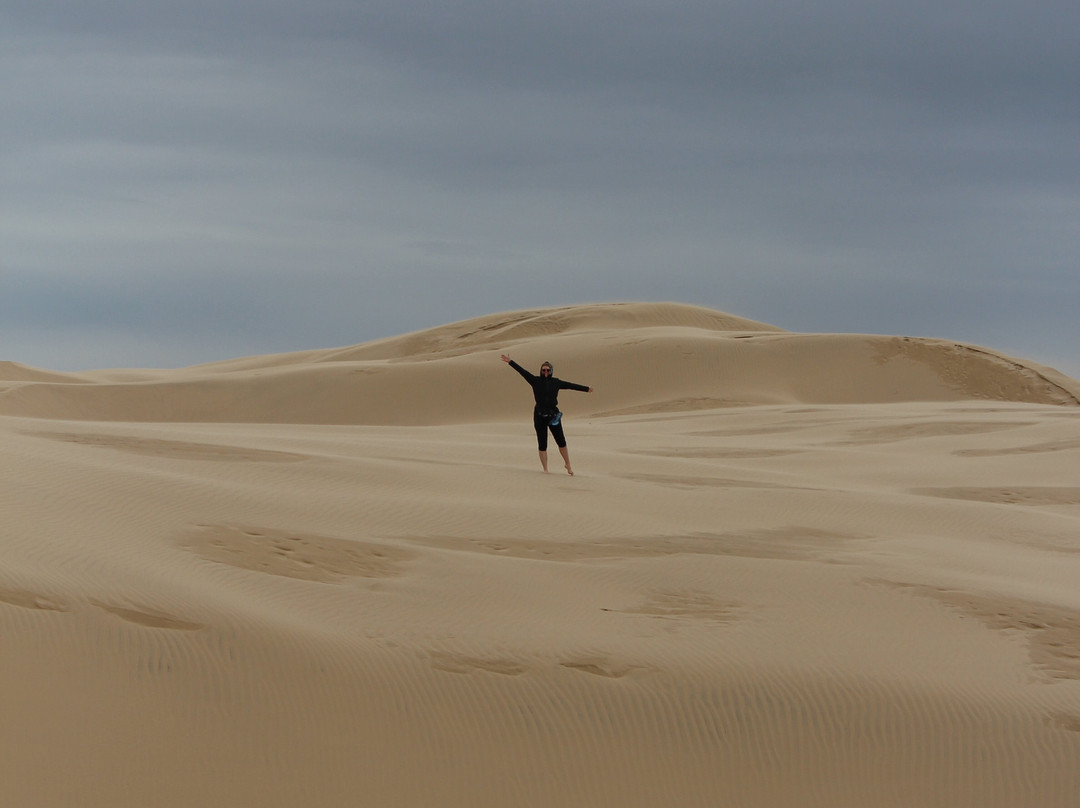 Oceano Dunes Natural Preserve景点图片