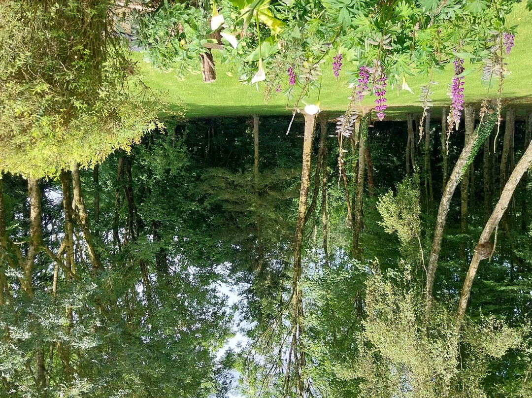 Bezinghem酒店住宿-Chambres et Table d'Hotes Les Trois Marquets