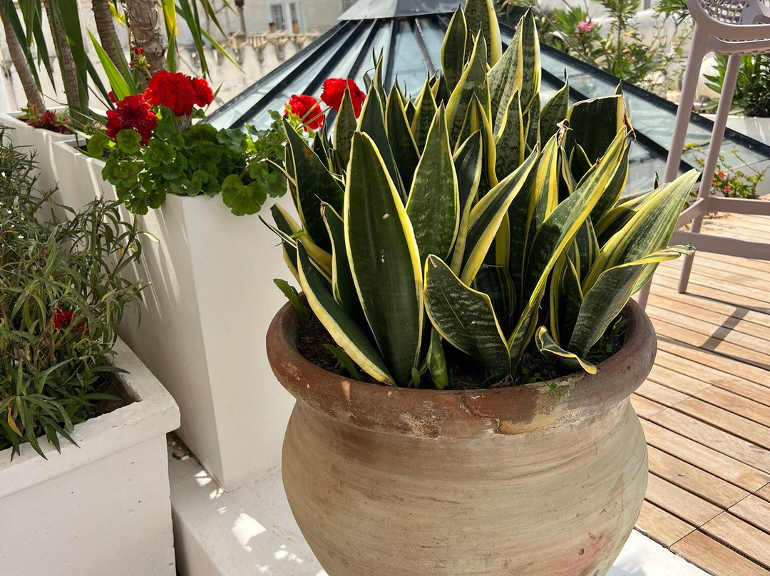 Dar El Jeld-突尼斯必去景点