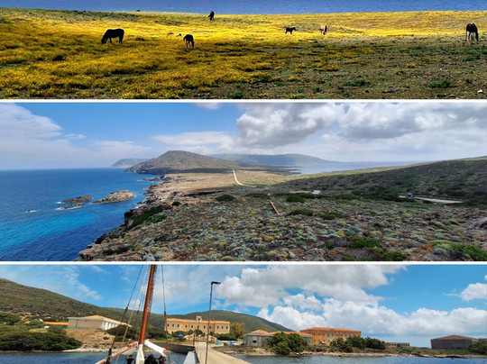 Sinuaria Escursioni Asinara-Porto Torres必去景点