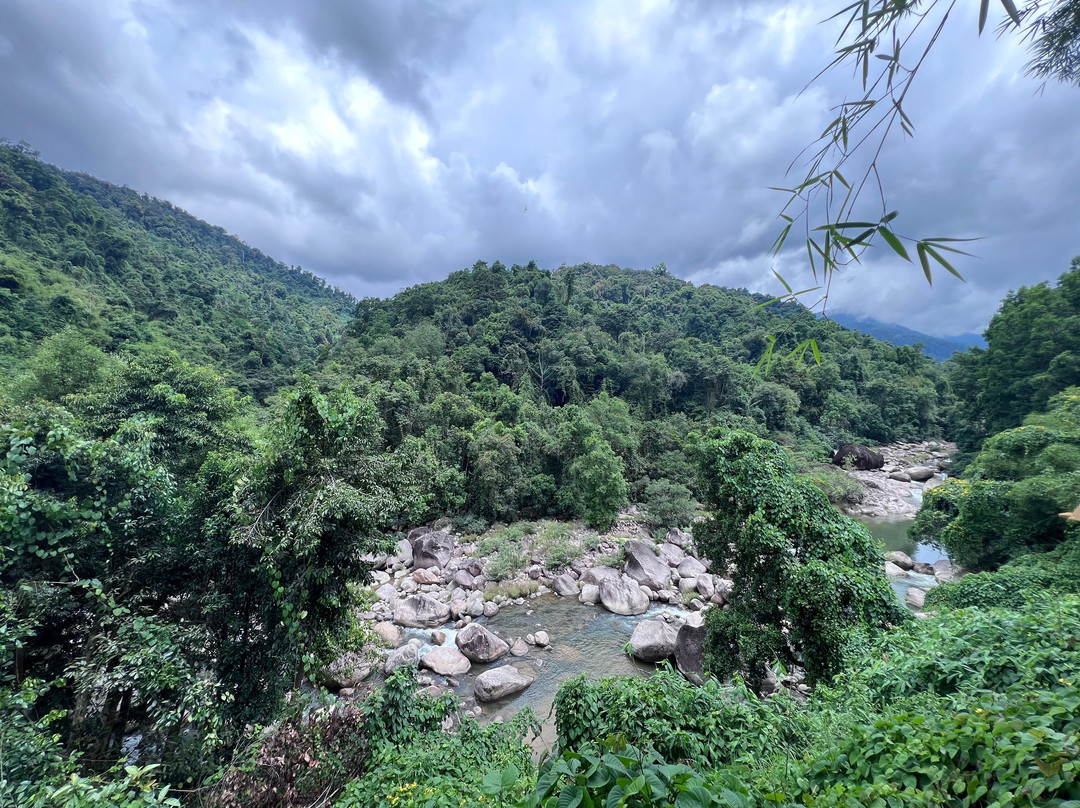 Kong Forest-Suoi Cat必去景点