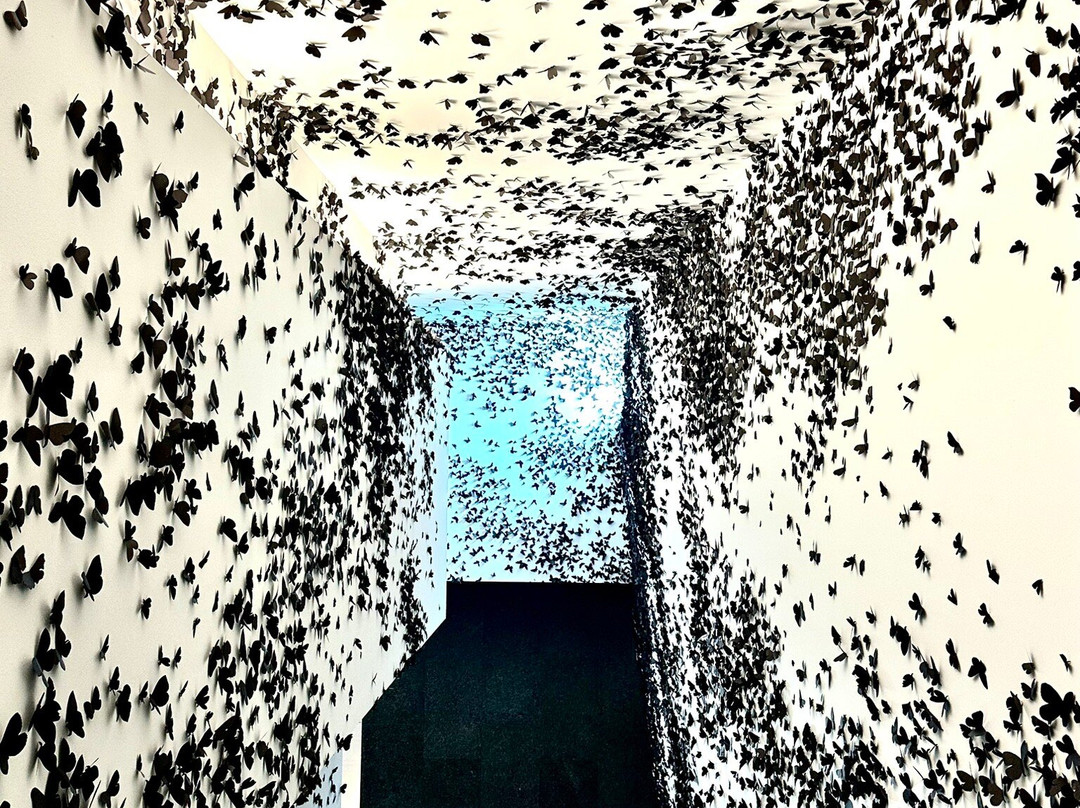 凤凰城艺术博物馆-凤凰城必去景点