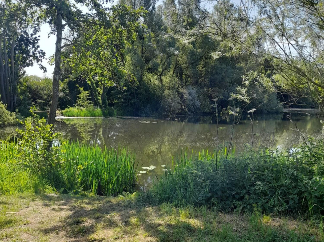Barnwell Country Park-Oundle必去景点