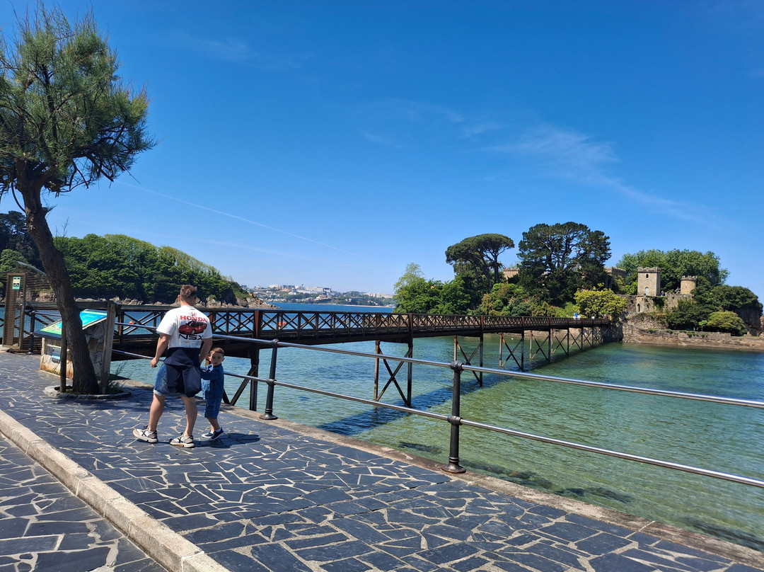 Castelo De Santa Cruz景点图片