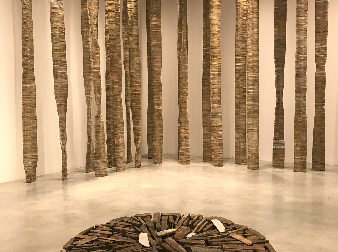 Museo De Arte Contemporáneo Helga De Alvear景点图片