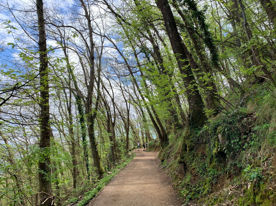 Sentiero san Rocco-Batterie-san Fruttuoso-卡莫利必去景点