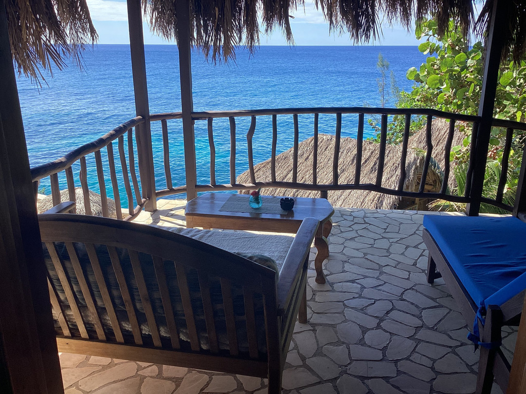 Catcha Falling Star主图