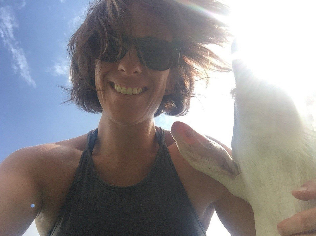 Agricola Anka Mapu-San Clemente必去景点