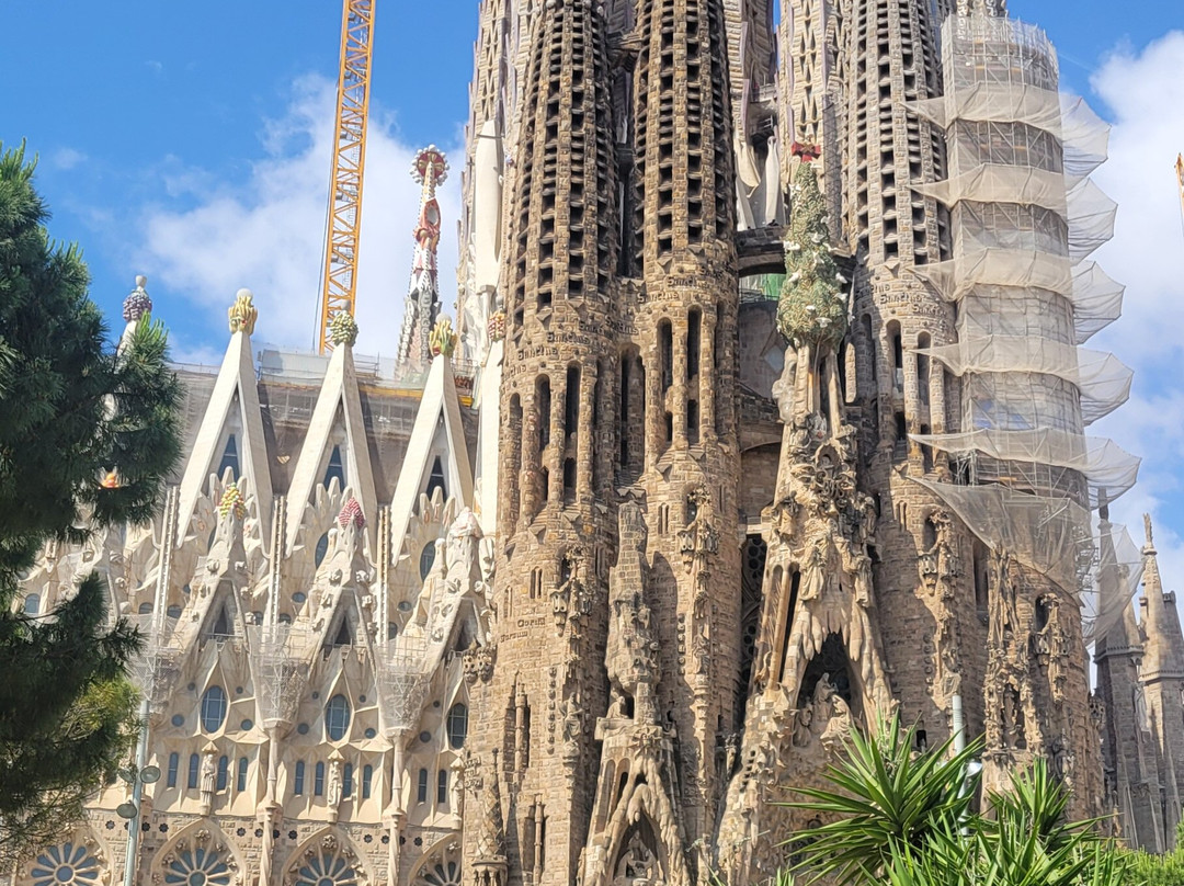 Live Barcelona Tours景点图片