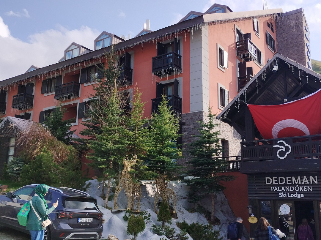 Dedeman Palandoken Ski Lodge Hotel主图