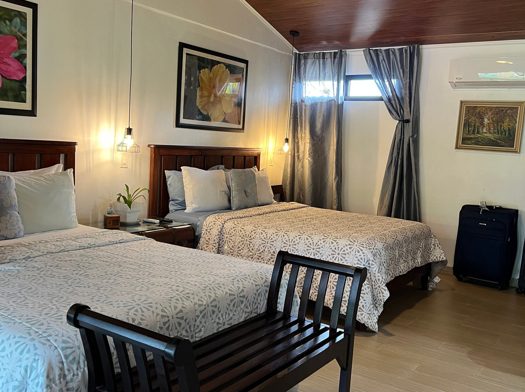 Casa Donna Rosa Bed And Breakfast主图