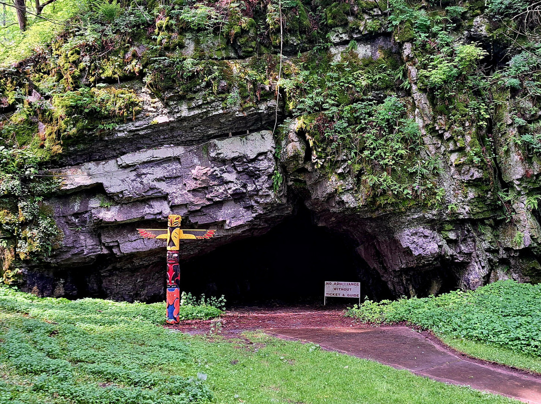 Woodward Cave and Campground景点图片