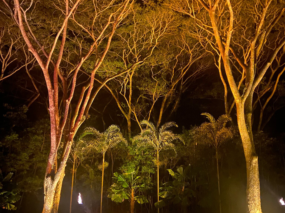 Flames of the Forest-道格拉斯港必去景点