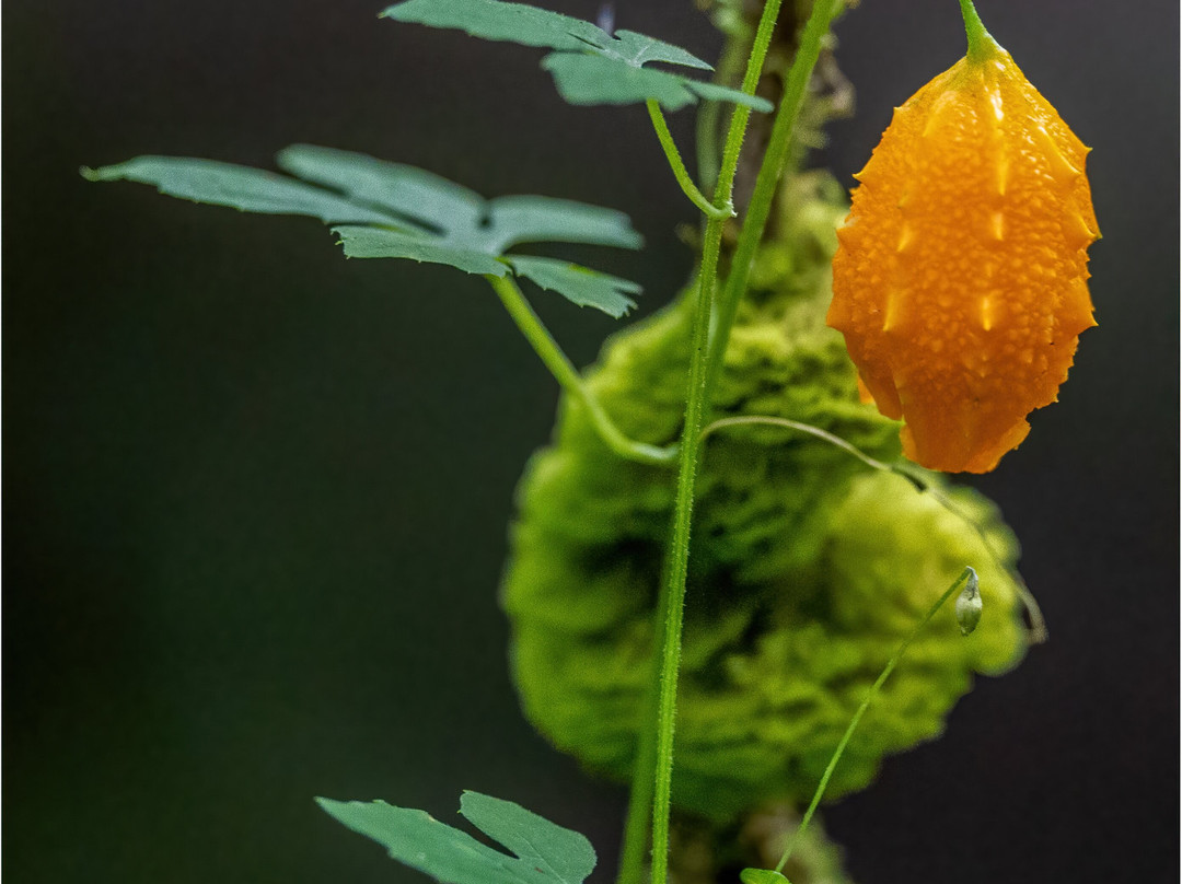 La Quinta Sarapiqui Lodge主图