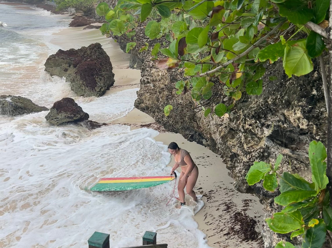 Freights bay surf school-Enterprise必去景点