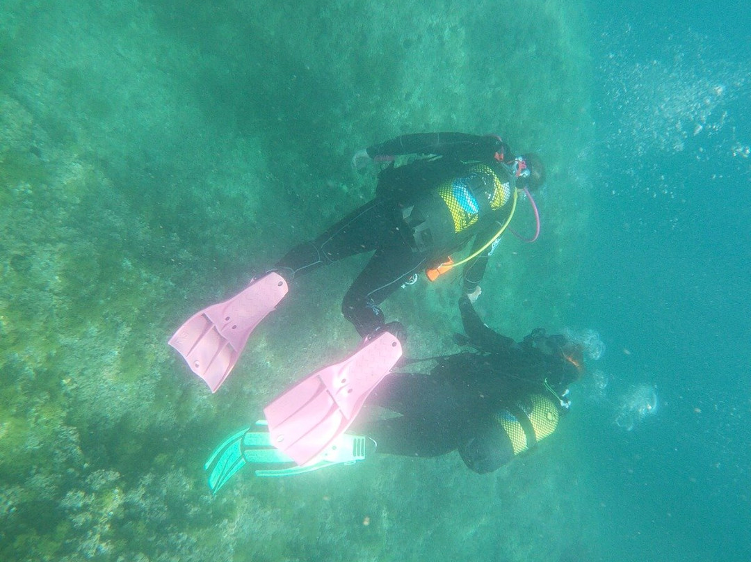 Buceo Cabo la Nao景点图片