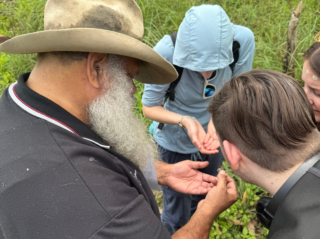 Mungalla Aboriginal Tours-Ingham必去景点