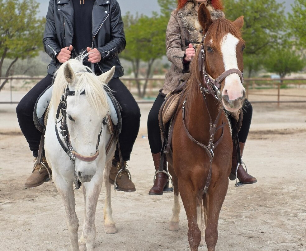 Cappadocia Horse Ranch-内夫谢希尔必去景点